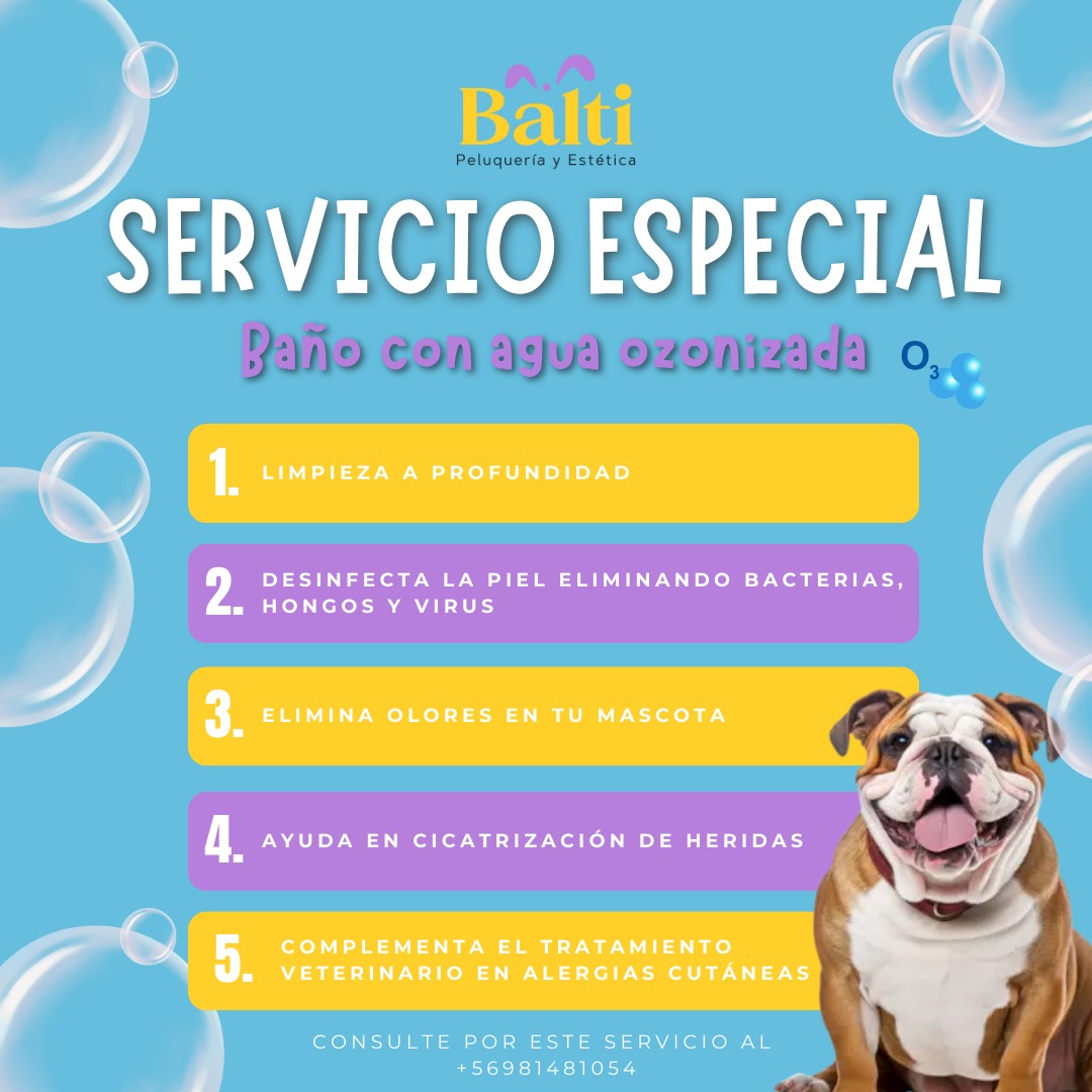 WhatsApp Image 2025-08-26 at 12.52.44